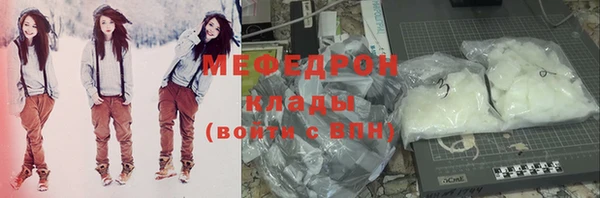 индика Козельск