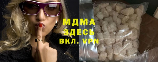 индика Козельск