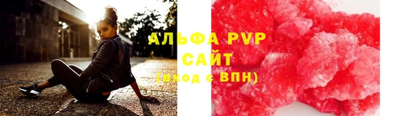 индика Козельск