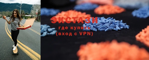индика Козельск