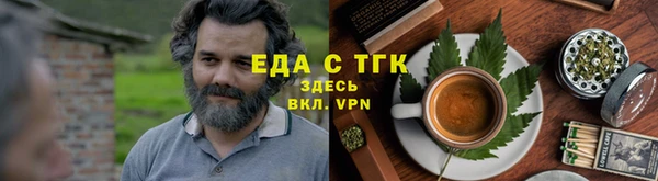 индика Козельск