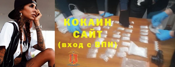 индика Козельск