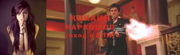 индика Козельск