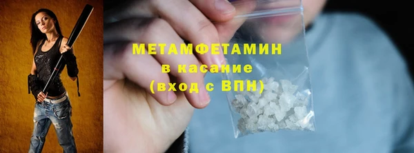 гидра Козловка
