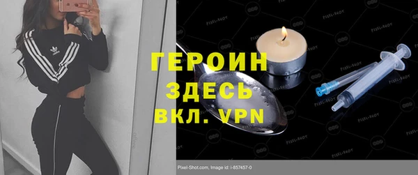 индика Козельск