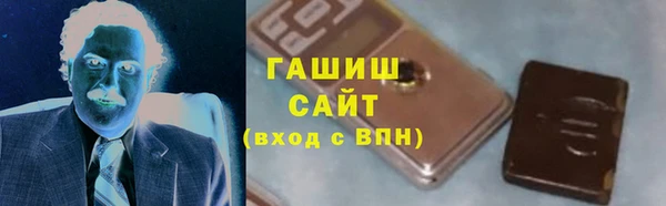 индика Козельск