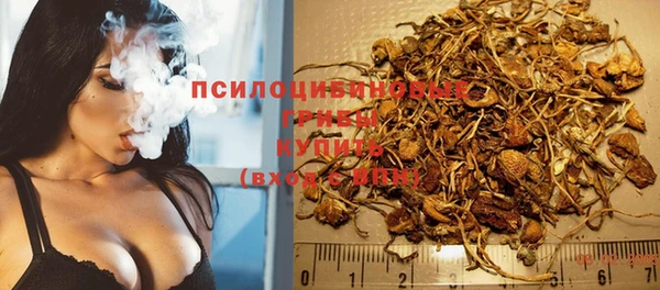 первитин Кодинск