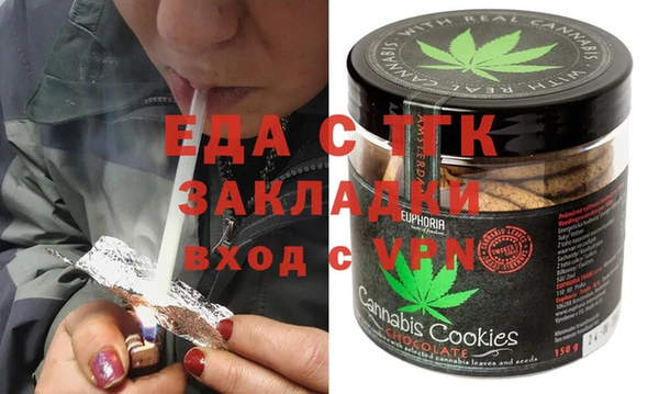 индика Козельск