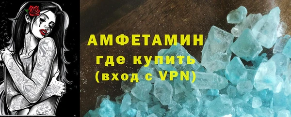индика Козельск