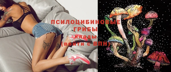 индика Козельск