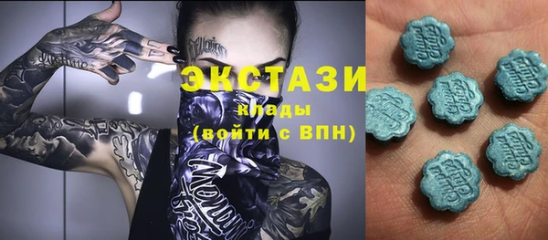индика Козельск