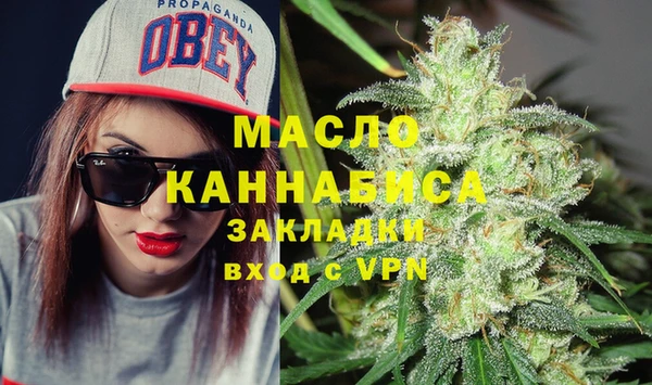 индика Козельск