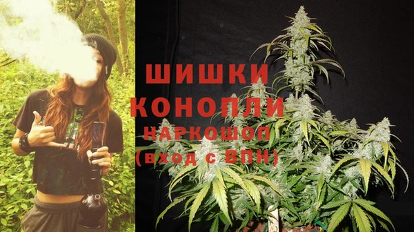 гидра Козловка