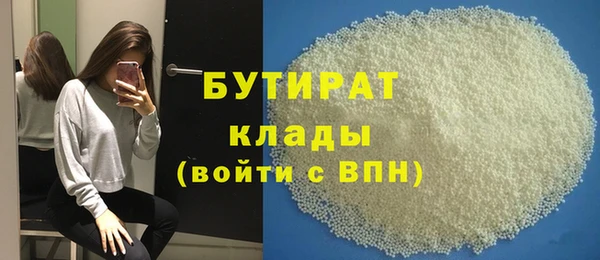 индика Козельск