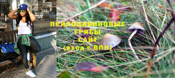 первитин Кодинск