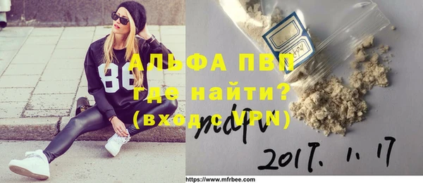 индика Козельск