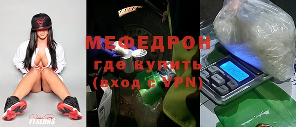 индика Козельск
