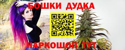 jwh Гусев