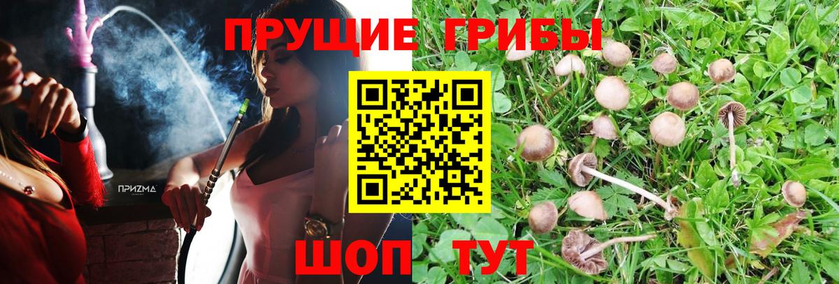 Псилоцибиновые грибы GOLDEN TEACHER  Вход с VPN  Волжск 